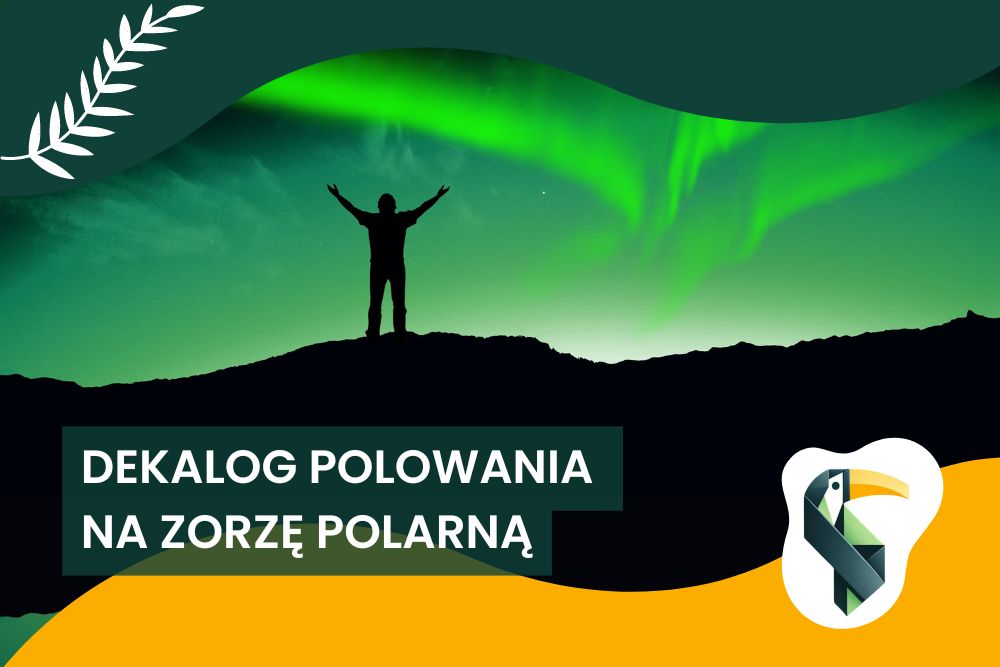 10 kluczowych zasad, dzięki którym upolujesz swoją pierwszą zorzę polarną!