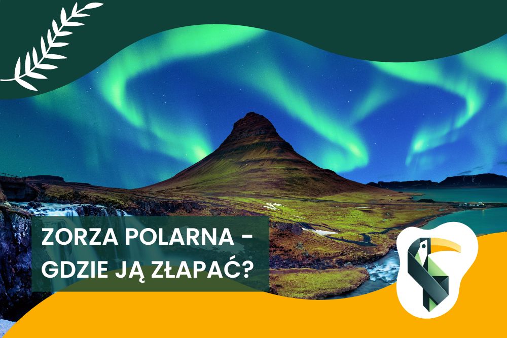 Zorza polarna – dokąd lecieć, żeby ją zobaczyć?