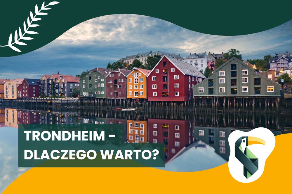 Norweskie Trondheim – dlaczego warto?