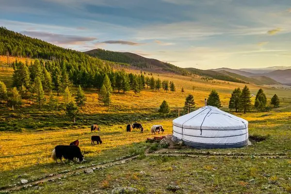 Tydzień w Mongolii