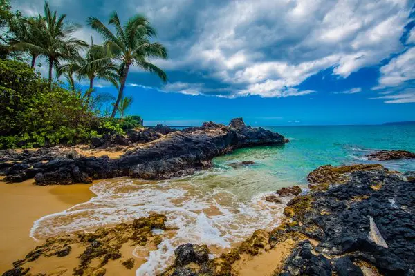 20 dni na Maui