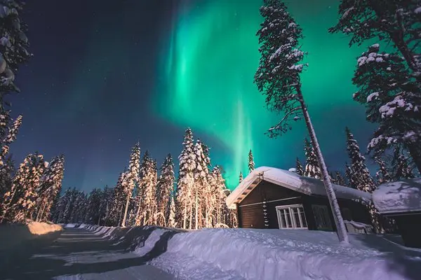 Tydzień w Laponii