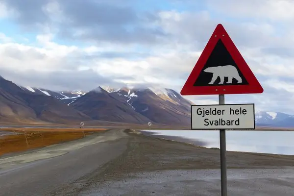 8 dni na Spitsbergenie