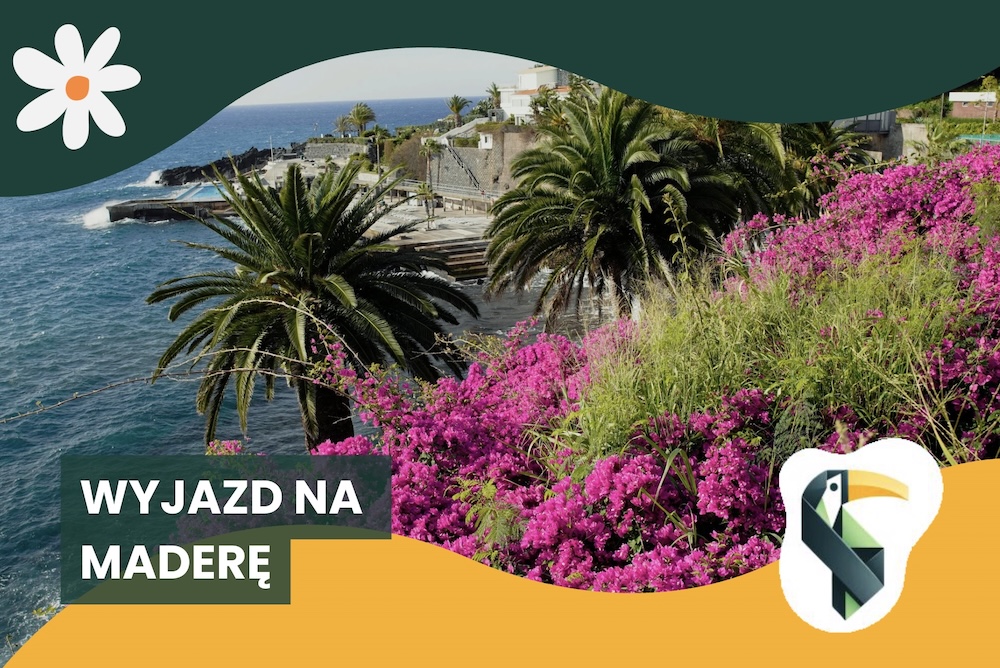 Wyjazd na Maderę
